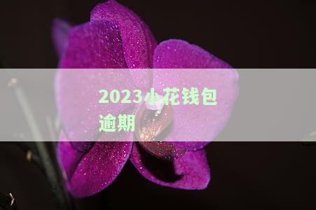 2023小花钱包逾期