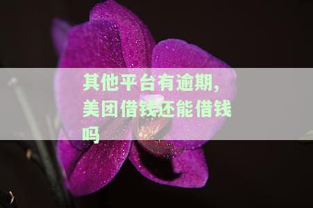 其他网贷逾期会影响美团不能在借吗，逾期网贷可能影响你在美团再次借款，需要注意！