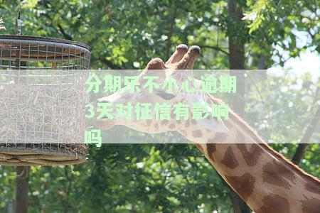 分期乐不小心逾期3天对征信有影响吗-分期乐不小心逾期3天对征信有影响吗