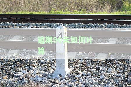 逾期90天如何计算利息费用，逾期90天：利息费用的计算方法解析