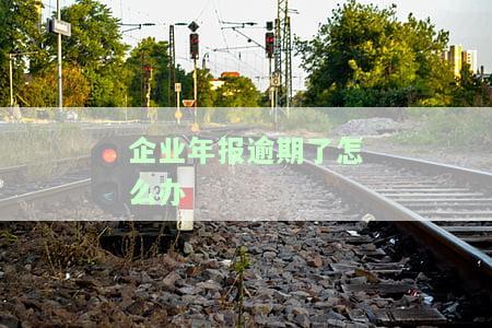 企业年报逾期了怎么办-企业年报逾期了怎么办店也不干了