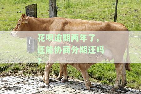 花呗逾期两年可以申请分期还款吗，花呗逾期两年还能分期还款吗？答案在这里！