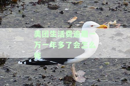 美团生活费逾期一年多未还，后果严重！逾期半年、一期甚至2年后，全额还款可能只是开始...