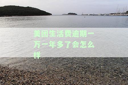 美团生活费逾期一期后需要全额还款吗？实际情况是怎样的？