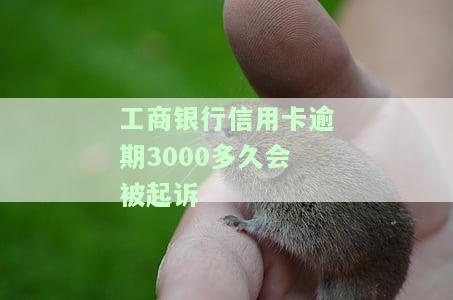 工商银行信用卡3000逾期三个月会报警吗，逾期三个月未还工商银行信用卡，是否会面临警方介入？