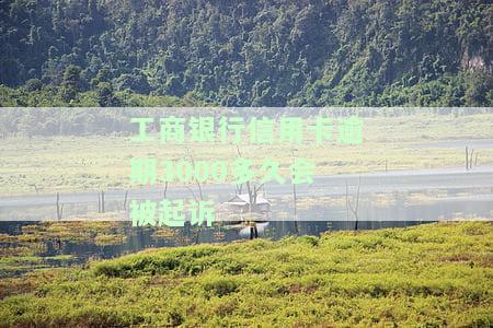 工行信用卡3000逾期一年半：大概需要还款多少？