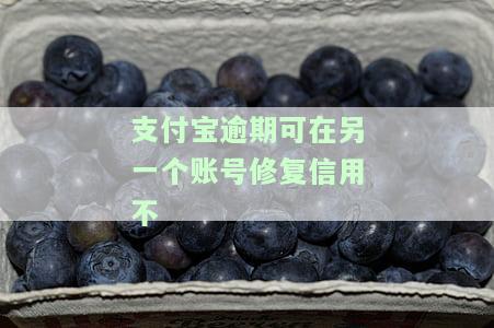 支付宝逾期另一个能用吗，支付宝逾期后，还能使用其他支付方式吗？