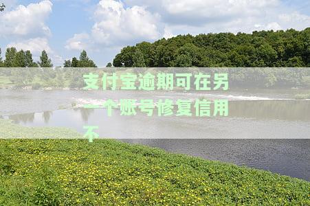 支付宝逾期可在另一个账号修复信用不