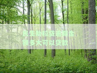 民生助粒贷逾期半年，逾期半年：民生助粒贷引发的民生问题