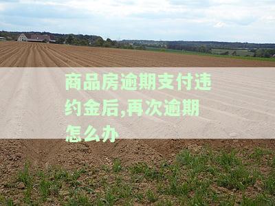 商品房逾期违约金标准及法律规定