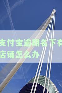 支付宝逾期与店铺的关系及影响：安全性、店员通讯、收款和开网店
