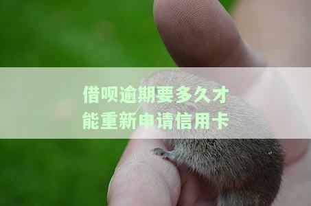 借呗逾期要多久才能重新申请信用卡