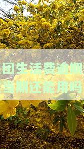 美团生活费逾期还完当期能否继续使用？逾期后多久可以再次借款？