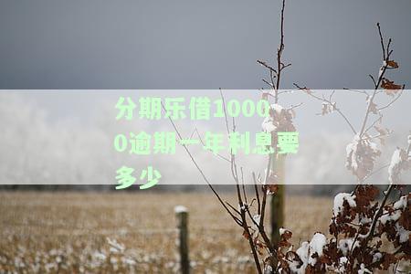 分期乐逾期1万，警惕！分期乐逾期1万可能带来的严重后果