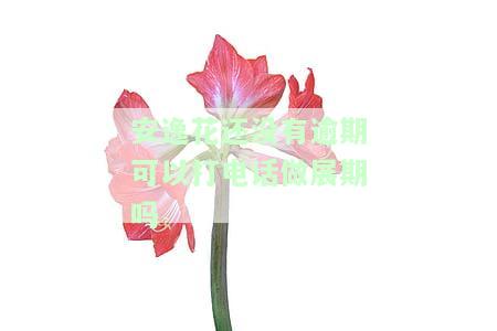 安逸花：能否通过客服电话申请期还款？逾期后可否请求免息？是否能协商晚几天还款？最长可以期多久？是否需要打电话申请？