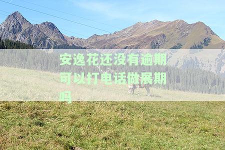 安逸花不给办理展期，显示展期但无法申请，实际展期服务可能存在高利息风险