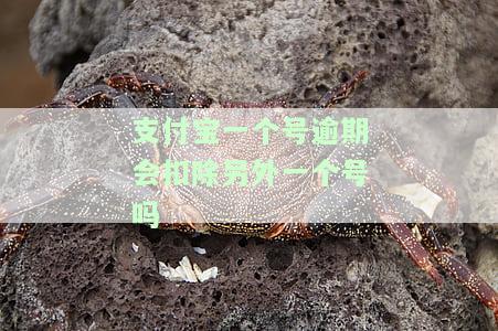 支付宝一个号逾期，会影响另一个号显示吗？安全性如何？如何处理？逾期后其他账号有影响吗？钱会被扣掉吗？