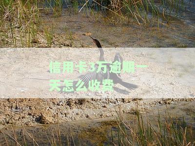 信用卡3万逾期一天怎么收费