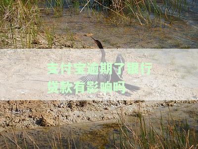 支付宝逾期会影响银行卡嘛，支付宝逾期是否会影响你的银行卡？答案在这里！