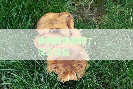网商贷逾期征信居然没有逾期，惊讶！网商贷逾期为何未在征信上显示？