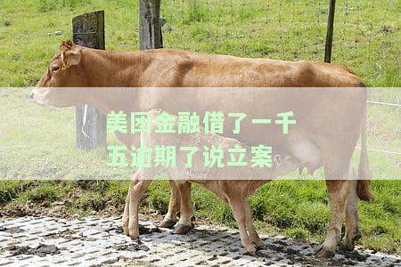 美团金融借了一千五逾期了说立案是真的吗，美团金融借款逾期，被威胁立案？真相揭秘！