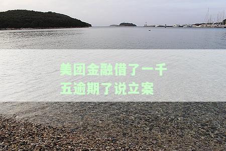 美团金融借一千五逾期后被立案成功，如何处理？会上门催收吗？