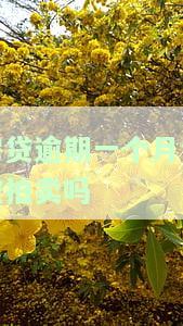房贷逾期一个月会被拍卖吗怎么办，房贷逾期一个月会面临房产拍卖风险，如何应对？