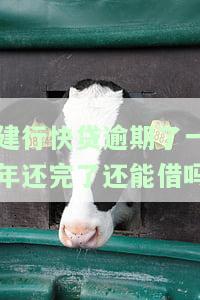 建行快贷逾期了一年还完了还能借吗，建行快贷逾期一年后还款，能否再次申请借款？