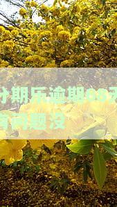 分期乐逾期68天有问题没-分期乐逾期六十多天