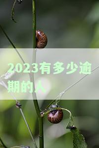 2021年逾期的人多么，揭秘：2021年逾期人数惊人，你是否也在其中？