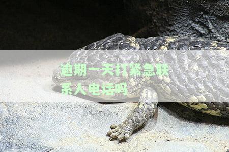 逾期一天了：哪些平台还能借款？影响征信吗？多久能恢复？