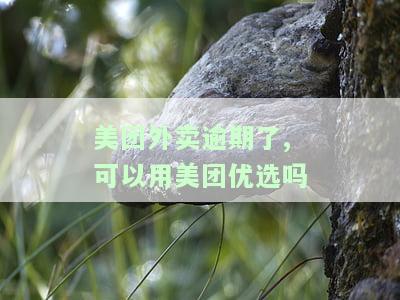 美团外卖逾期了,可以用美团优选吗，美团外卖逾期，是否还能使用美团优选？