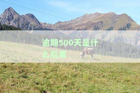 逾期500元会坐牢吗？逾期影响征信及被起诉风险解析