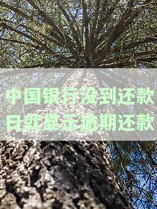 中国银行错过还款日：如何处理与解决，逾期多久算严重？