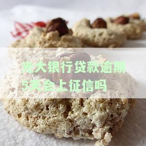 光大银行贷款逾期一天会留下不良记录吗？会对信用产生影响吗？