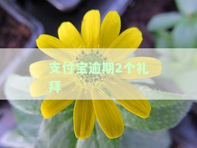 支付宝逾期两个月，多久能恢复使用额度、信用卡和花呗？逾期影响大吗？还款后多久能恢复正常功能？