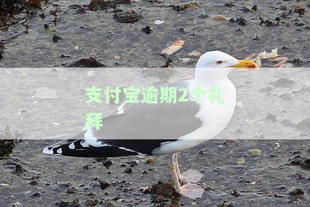 支付宝逾期两个月后全部还上会影响信用吗，支付宝逾期两个月后全额还款，是否会影响个人信用记录？