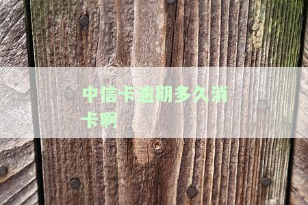 中信银行逾期多久会销卡，中信银行信用卡逾期多久将被注销？