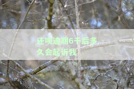 还呗逾期多少天会起诉,我已经还了2000多，关于还呗逾期的疑问：我已经还款2000多，还会被起诉吗？