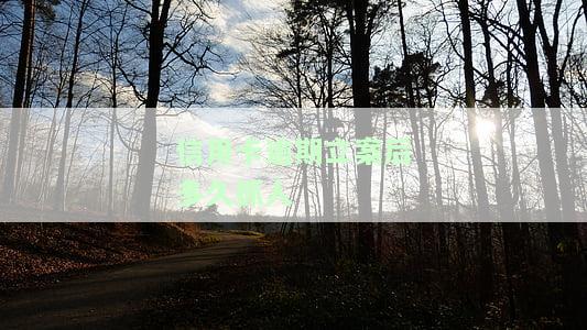 2021年信用卡逾期立案新标准：详细解读与量刑规定