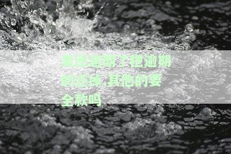 美团逾期还款会怎样，警惕！美团逾期还款可能带来的严重后果