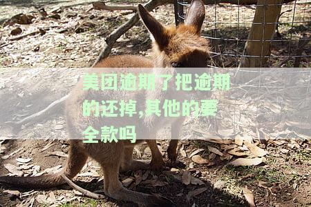 美团逾期了把逾期的还掉,其他的要全款吗-美团逾期了把逾期的还掉,其他的要全款吗