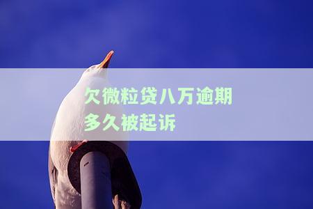 微粒贷欠款8万逾期多久会被法院起诉、判决与执行？是否会有坐牢风险？逾期超过八万应如何处理？