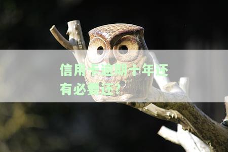 欠信用卡十年了，十年信用卡债务：如何摆脱沉重的财务负担？