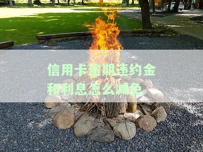 信用卡逾期违约金和利息减免方法：2021年计算及法律规定