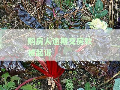 逾期支付购房款的诉讼时效：规定与期限解析