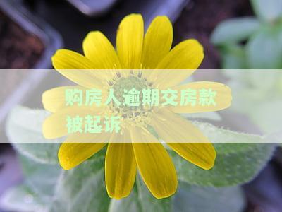 购房人逾期交房款被起诉-购房人逾期交房款被起诉怎么办
