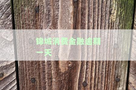 锦城消费金融逾期一天会怎么样，逾期一天会影响你的信用记录！——锦城消费金融的警示