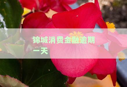 锦城消费金融逾期一天会否上门催收？影响征信及通讯录吗？下载获取更多信息。