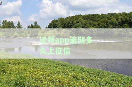 还呗逾期多久会上征信？查询方法及后果解析